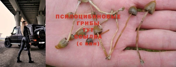 соль курить ск Арсеньев