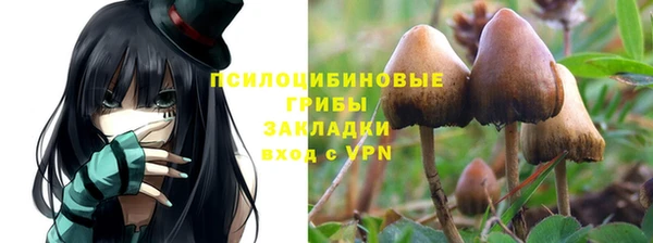 соль курить ск Арсеньев